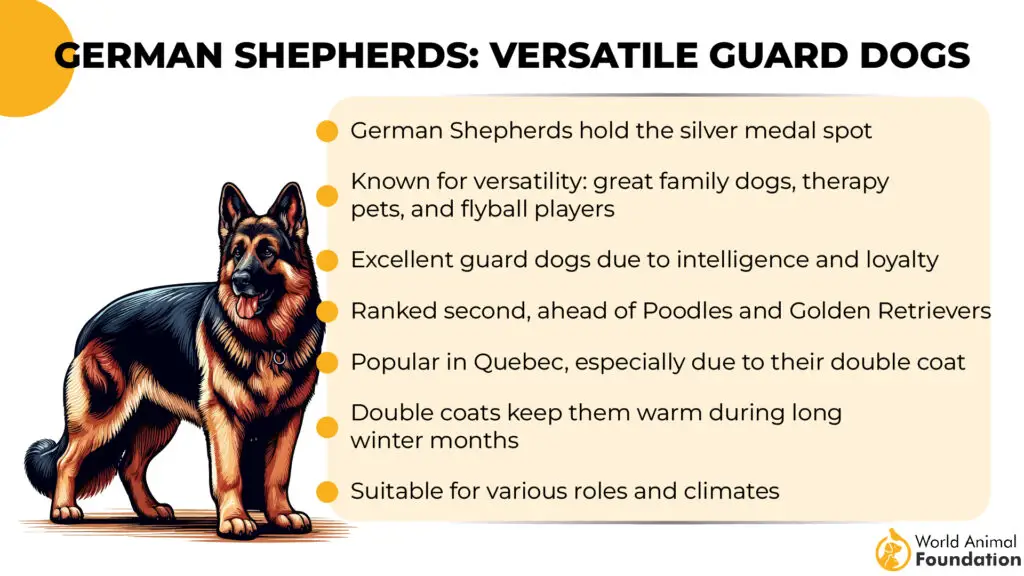 German Shepherds Versatile Guard Dogs