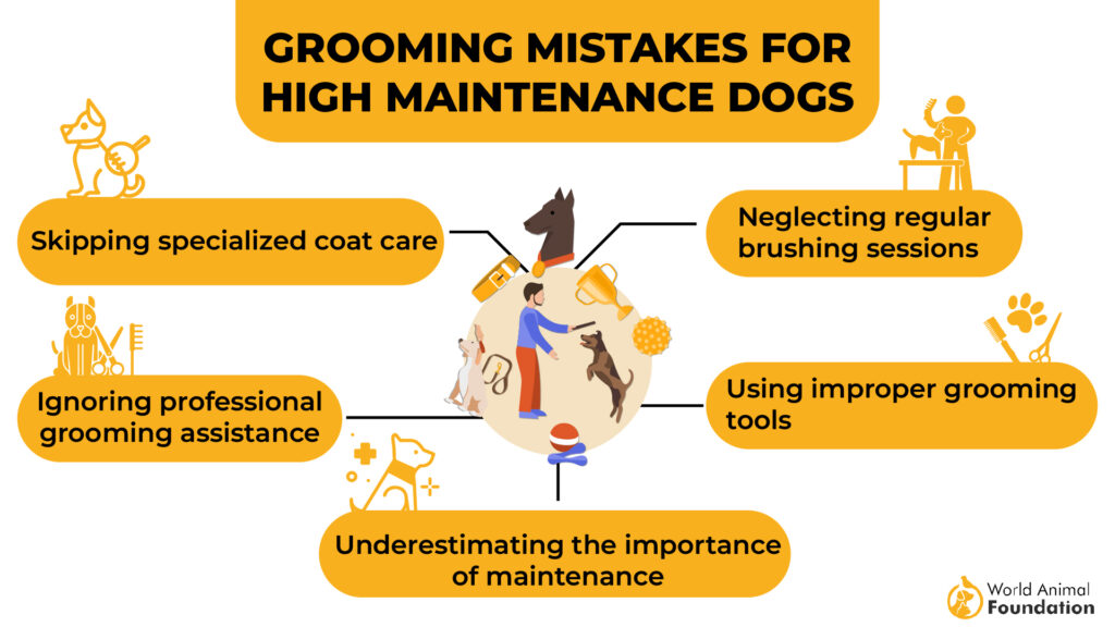 Grooming Mistakes for High Maintenance Dogs