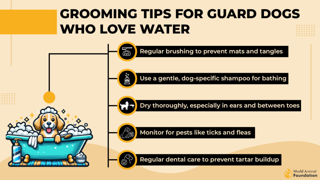 Grooming Tips for Guard Dogs who love water