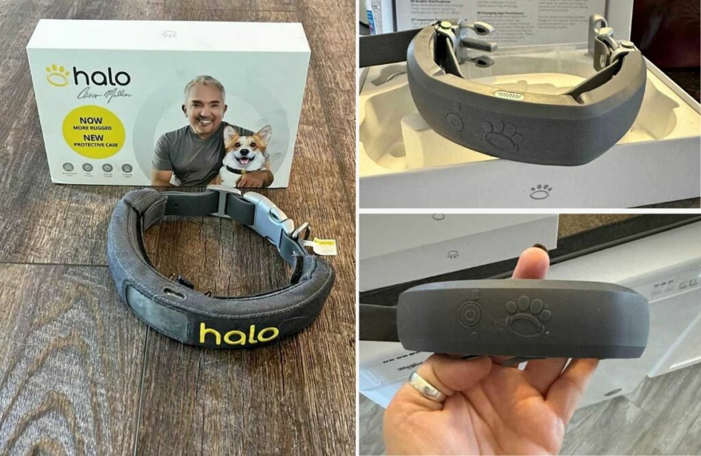 halo wireless dog fence