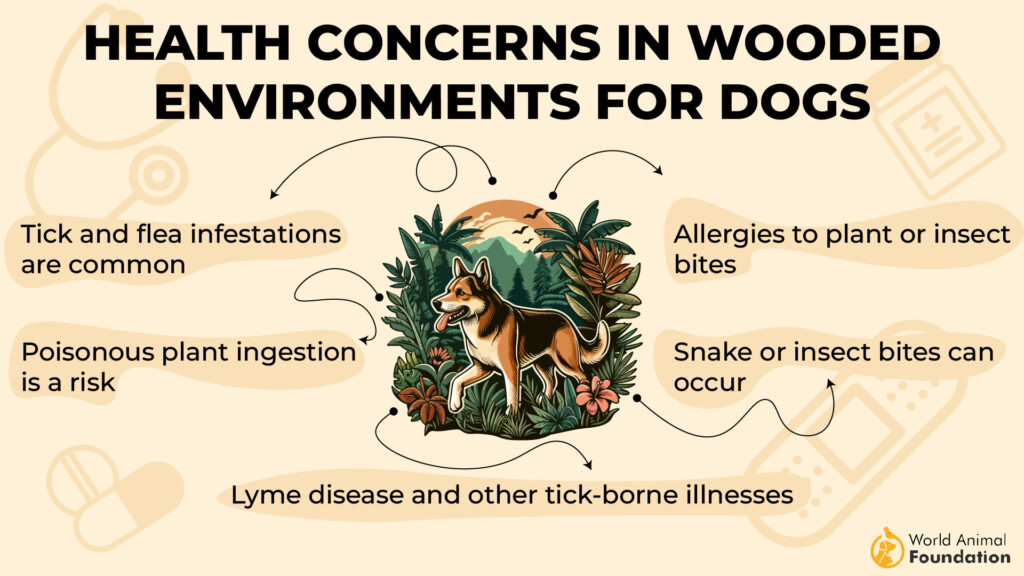 Health Concerns in Wooded Environments for Dogs