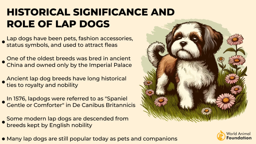 Historical Significance and Role of Lap Dogs