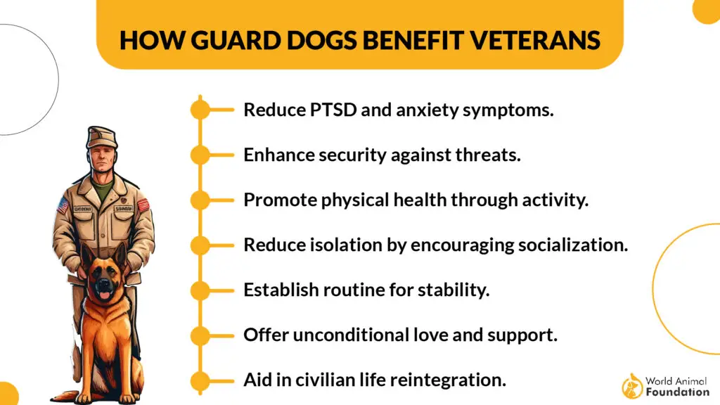 How Guard Dogs Benefit Veterans  