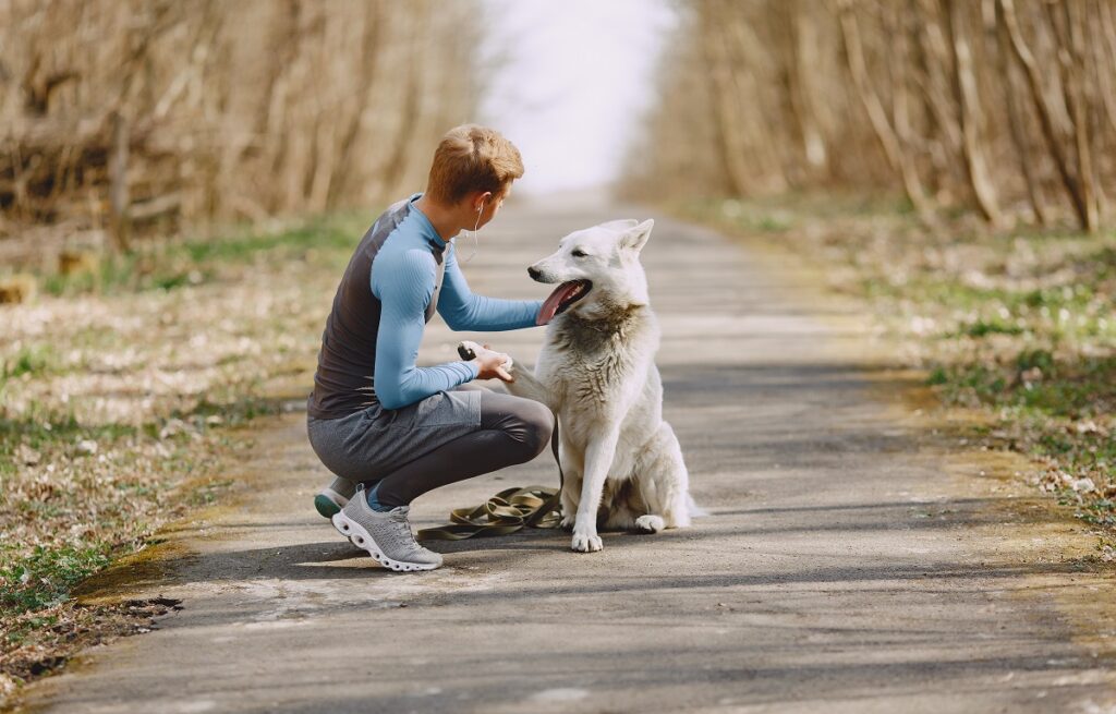 How dogs have become man's best friends