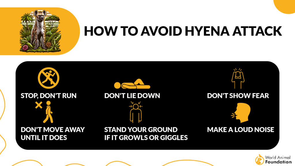 How to Avoid a Hyena Attack