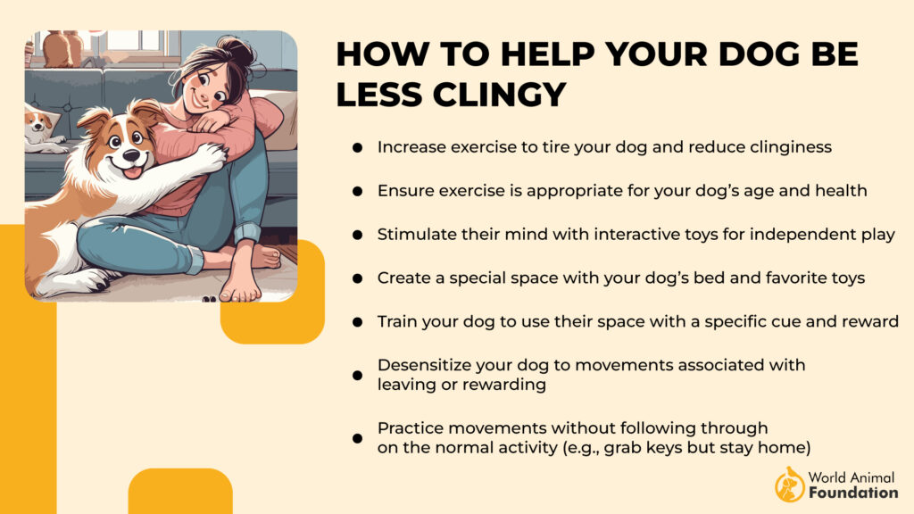 How to Help Your Dog Be Less Clingy