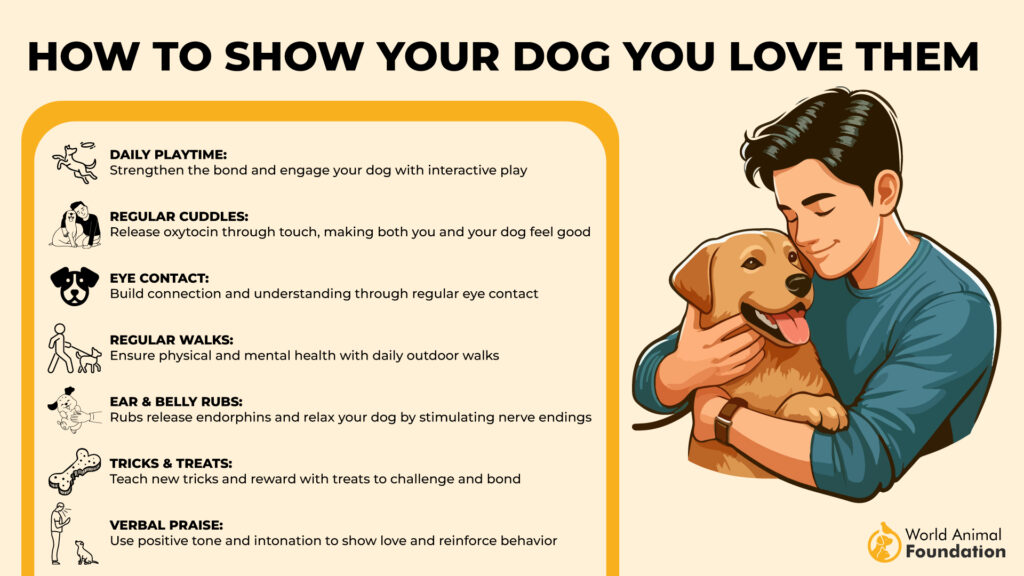 How to Show Your Dog You Love Them