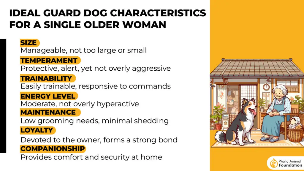 Guard Dog Characteristics for a Single Older Woman