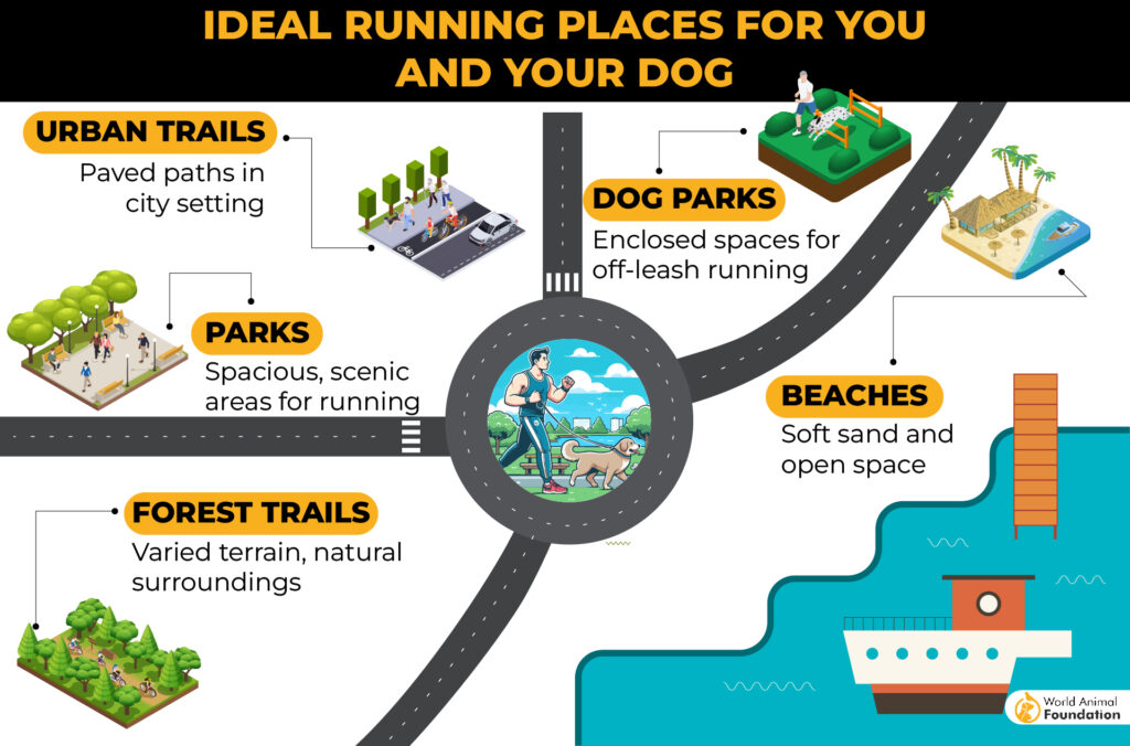 best Running Places for You and Your Dog