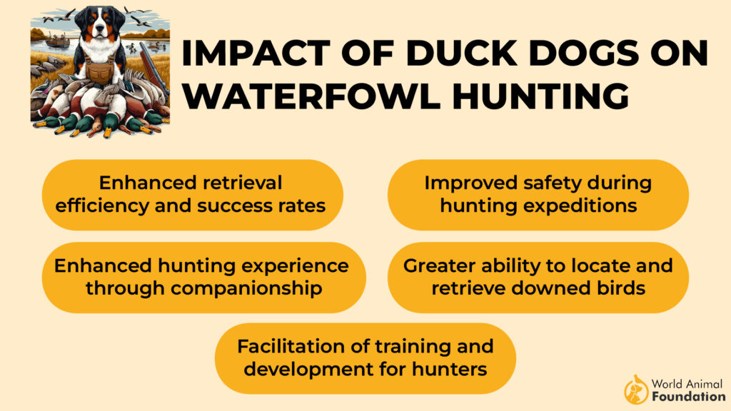 Impact of Duck Dogs on Waterfowl Hunting