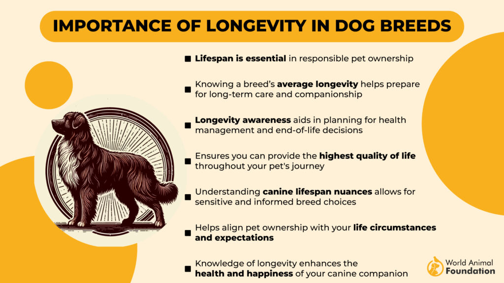 Importance of Longevity in Dog Breeds