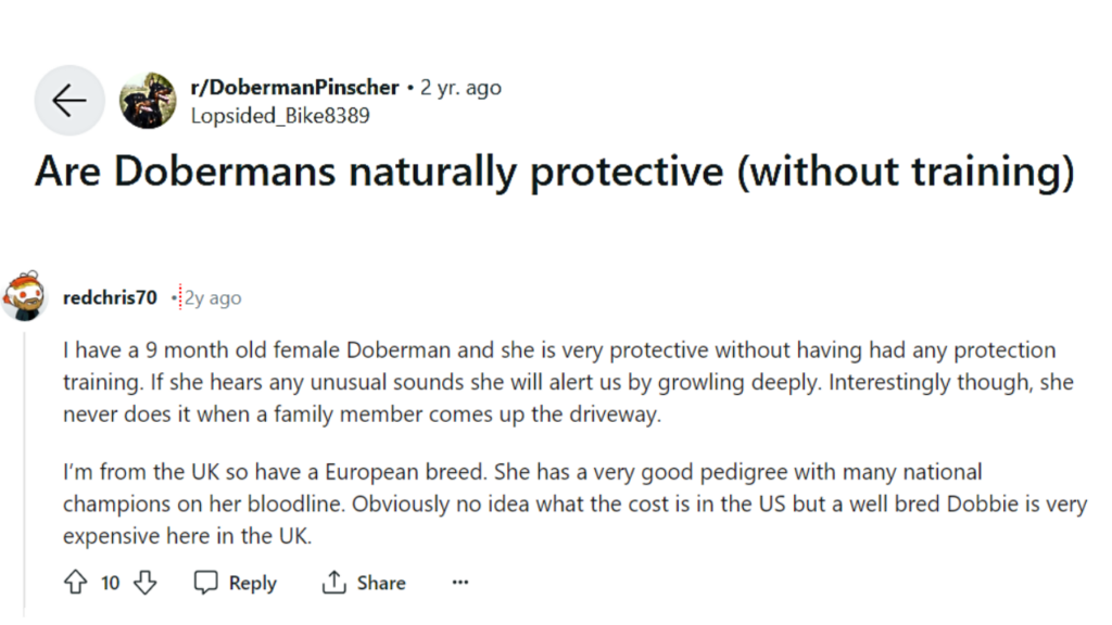 Is a Doberman one of the best protection dogs