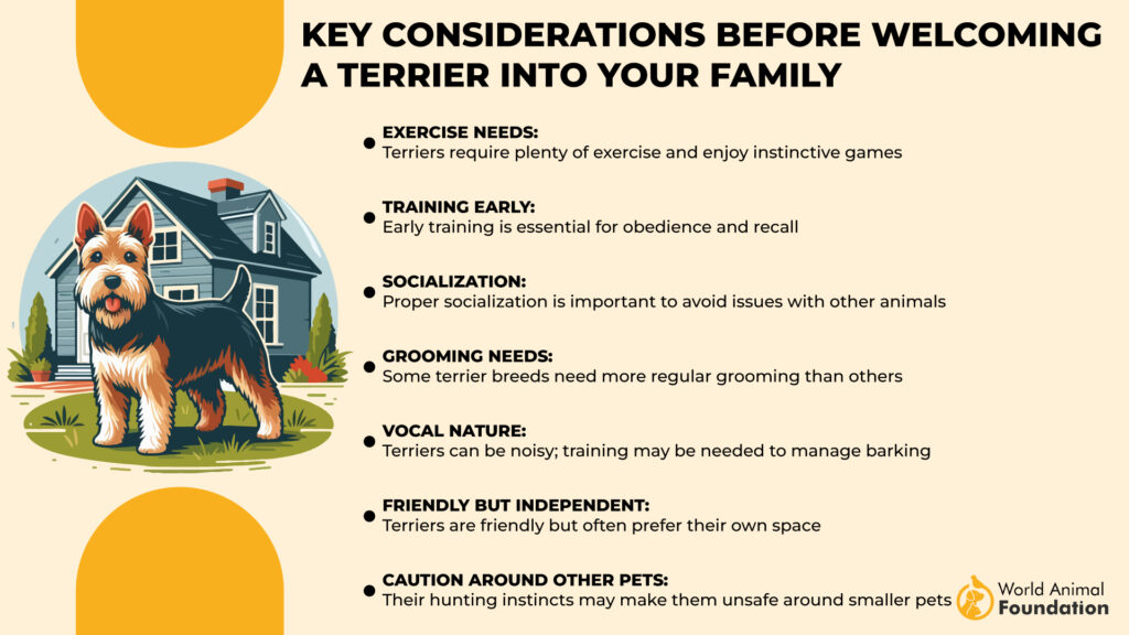 Key Considerations Before Welcoming a Terrier into Your Family