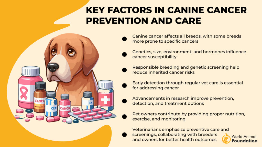 Key Factors in Canine Cancer Prevention and Care