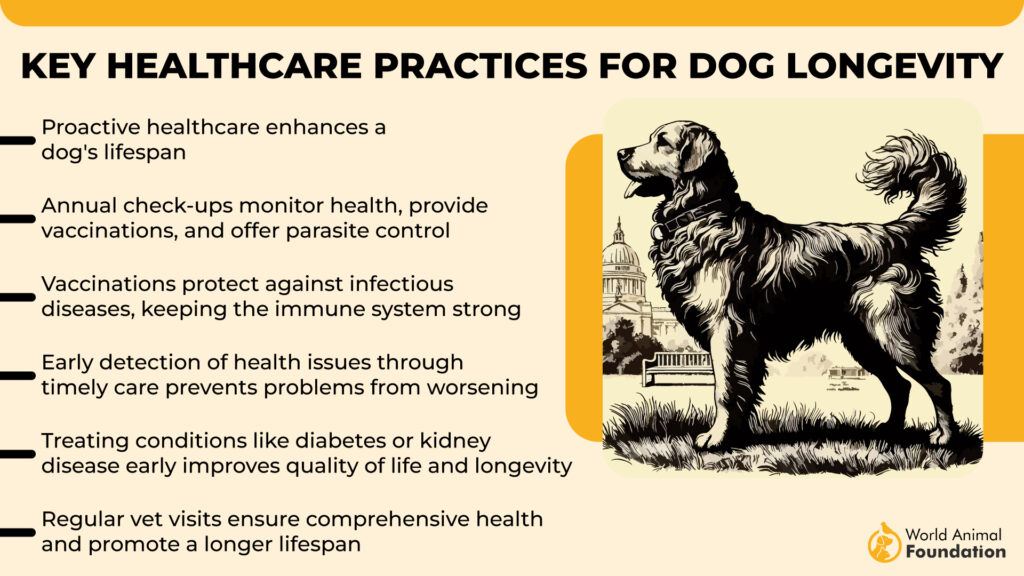 Key Healthcare Practices for Dog Longevit