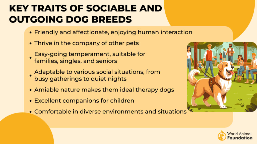 Key Traits of Sociable and Outgoing Dog Breeds