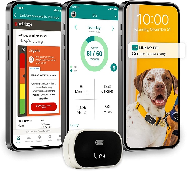 Link GPS Dog Tracker Activity Monitor review