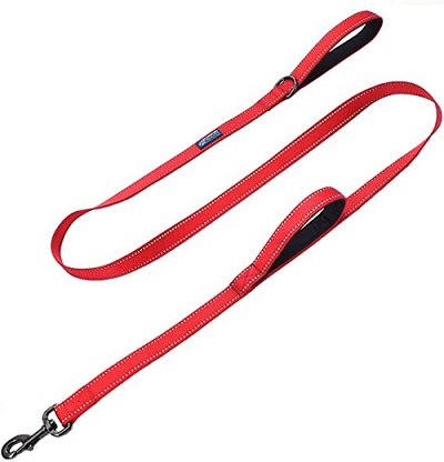 Max and Neo Reflective Nylon Dog Leash REVIEW review