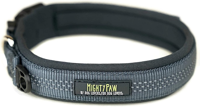 Mighty Paw Neoprene Padded Dog Collar review