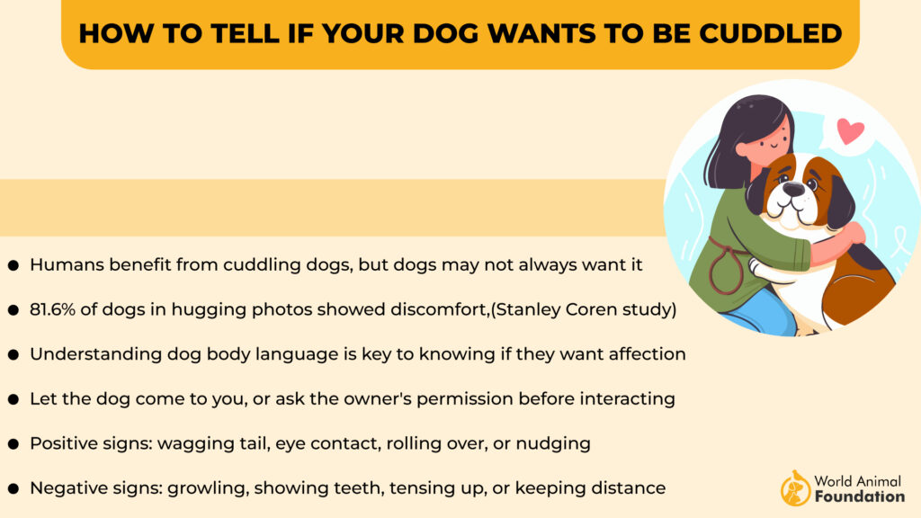 cuddly dog facts