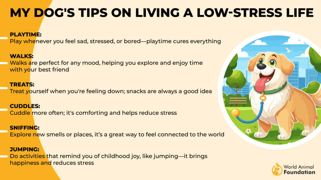 Dog's Guide to a Low-Stress Life