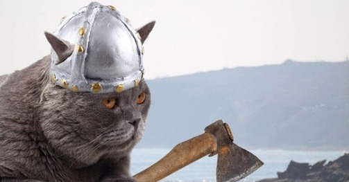 Norse Cat Names 1