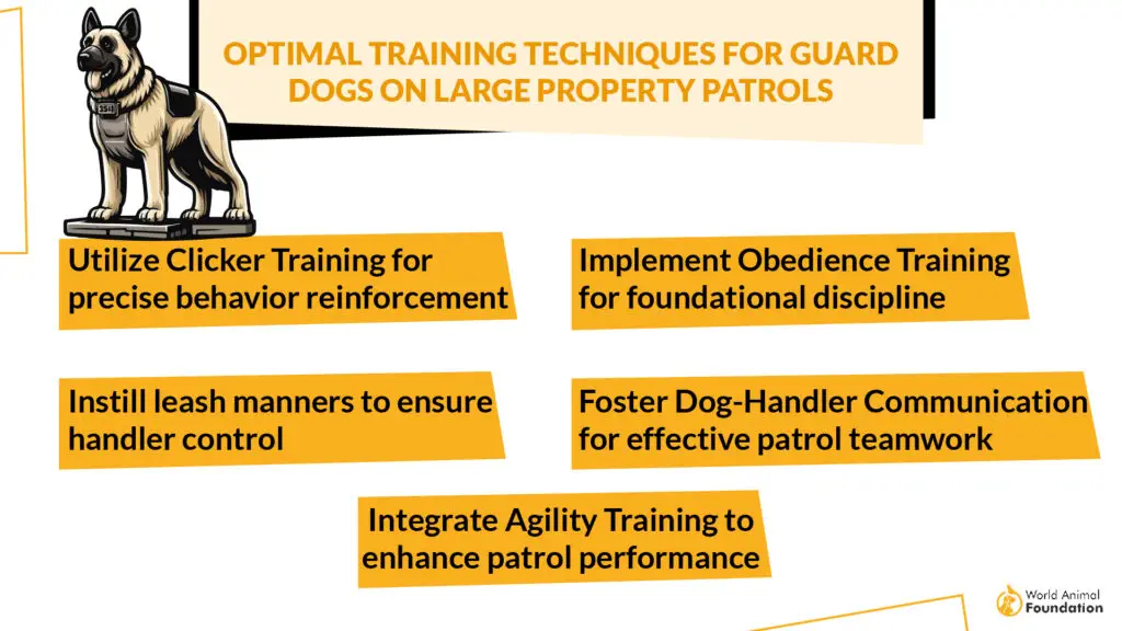 Optimal Training Techniques for Guard Dogs