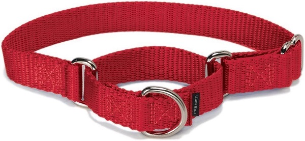 PetSafe Adjustable Martingale Collar review