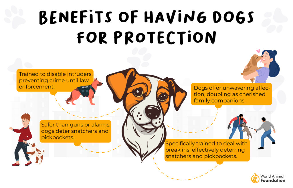 Protective dog breeds