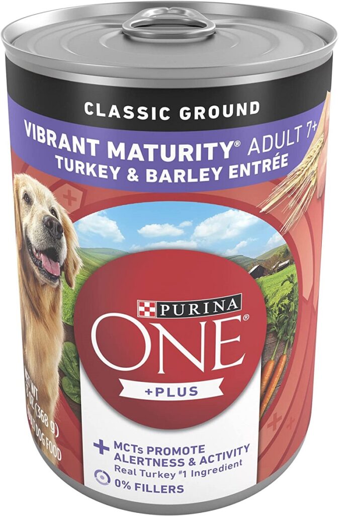 softer food for older dogs