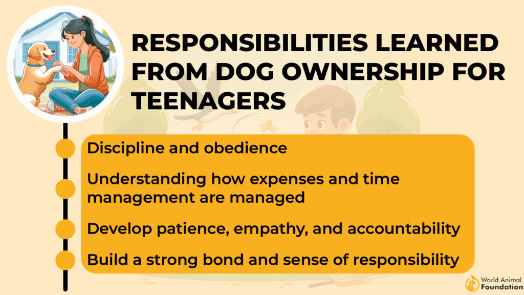 Responsibilities Learned from Dog Ownership for Teenagers