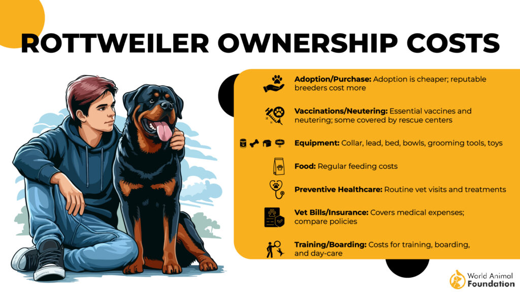 Rottweiler Ownership Costs