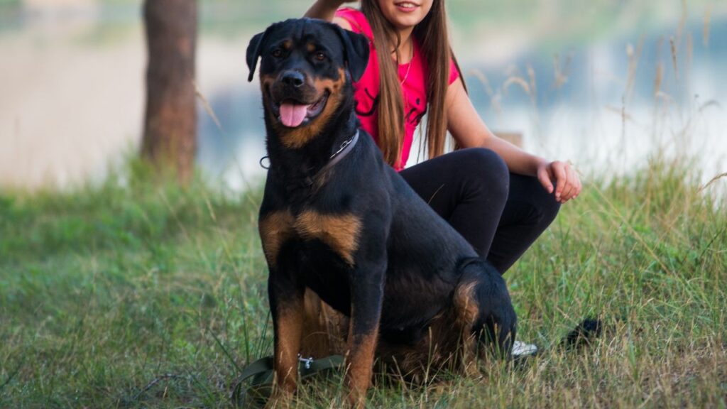 ARE ROTTWEILER LOYAL