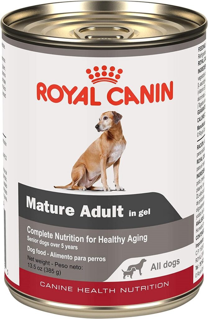 soft dog food for older dogs