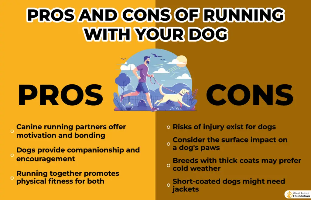 Dog Breeds to Protect Against Jogging Threats