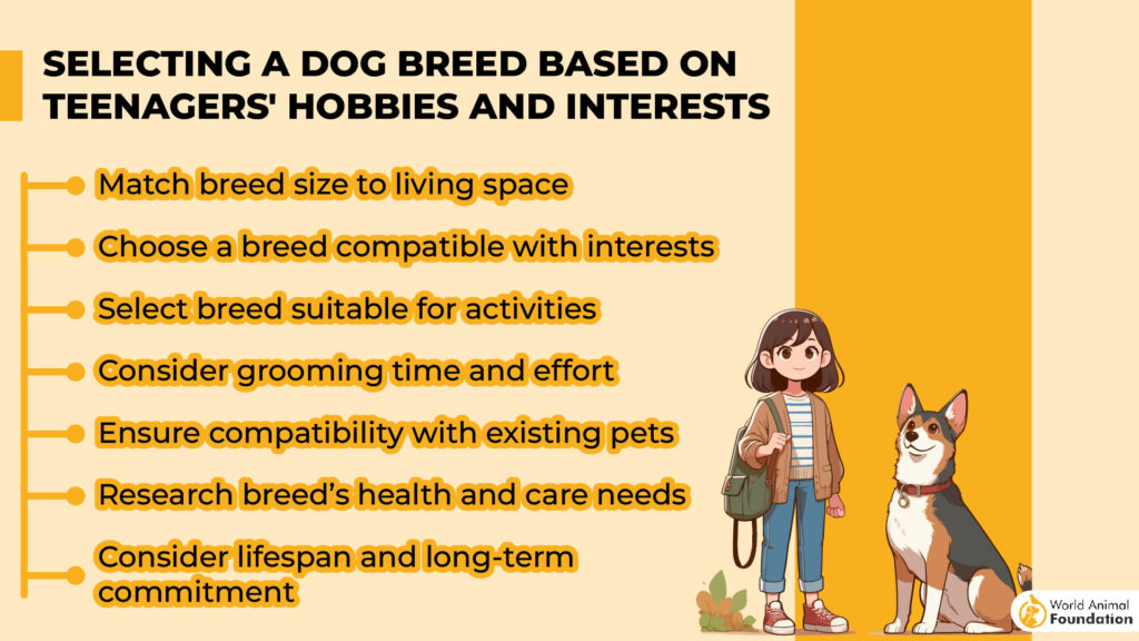 Selecting a Dog Breed Based on Teenagers' Hobbies and Interests