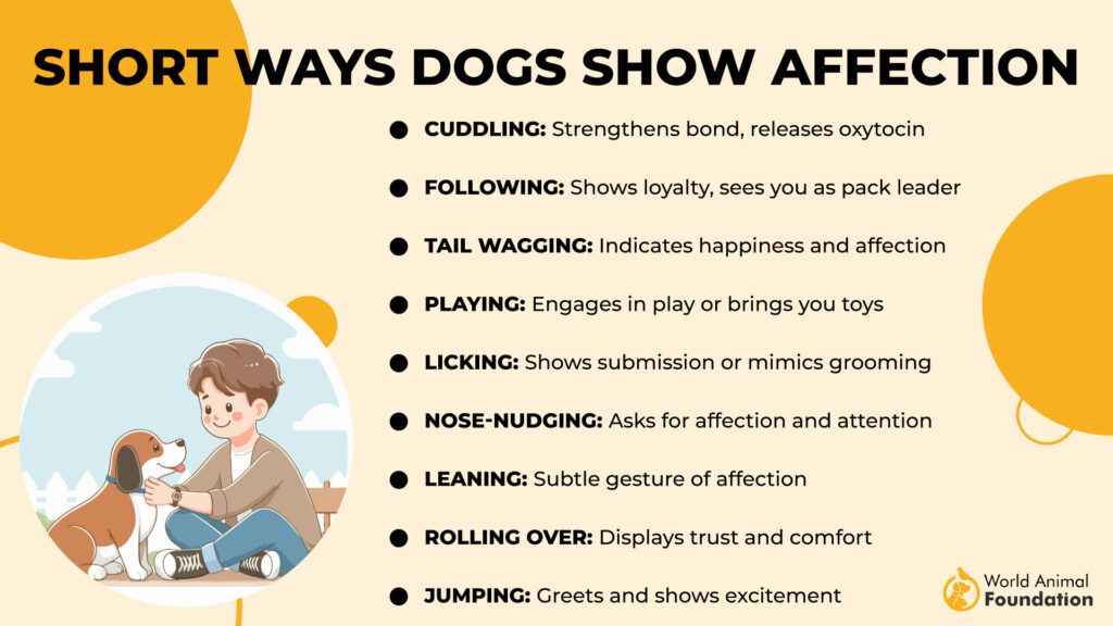 Short Ways Dogs Show Affection