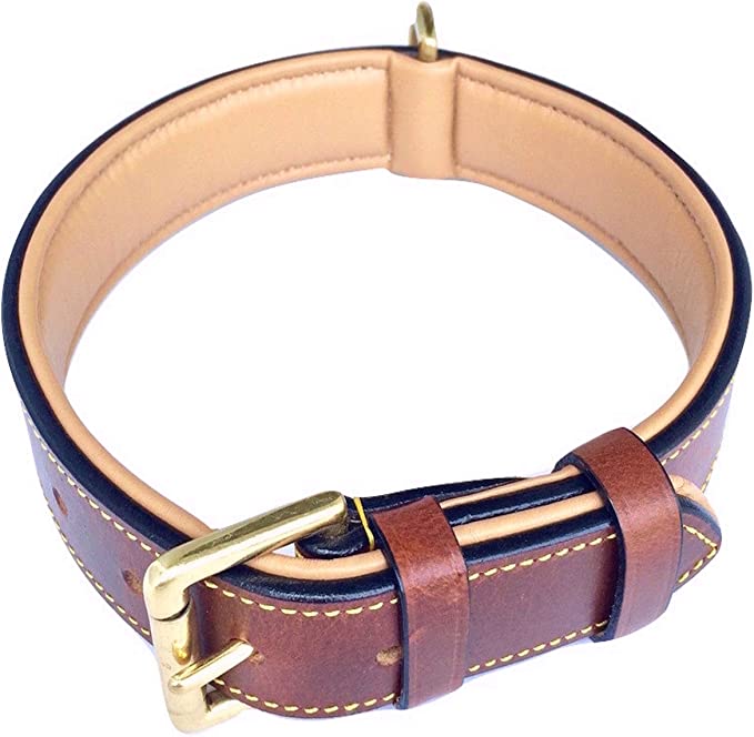 best dog collar for german shepherd