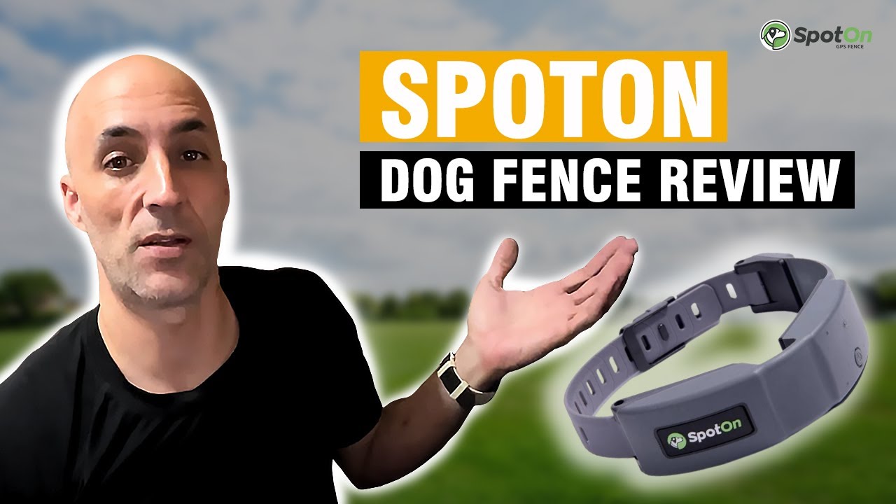 SpotOn GPS Dog Fence Review