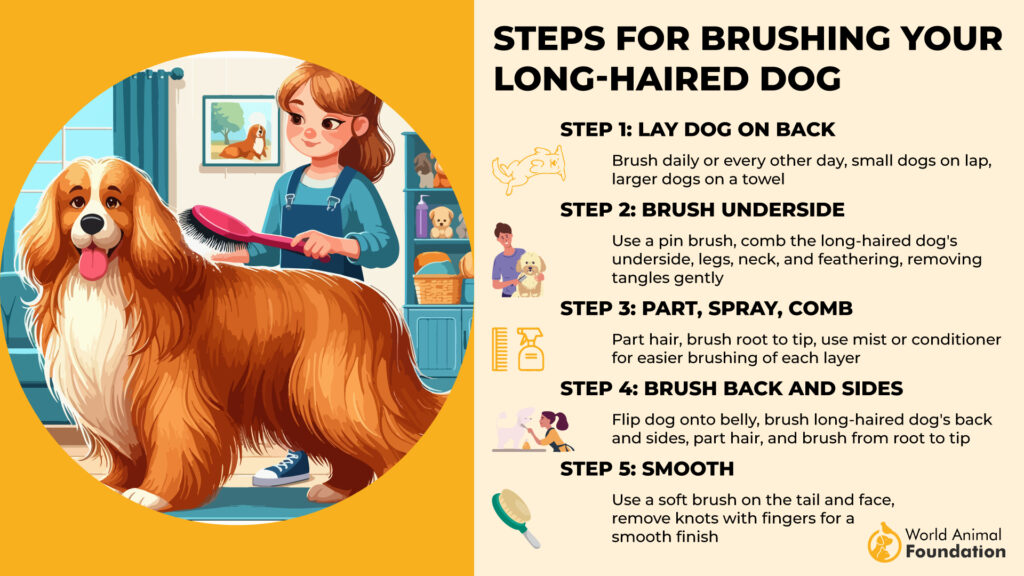 Steps for Brushing Your Long-Haired Dog