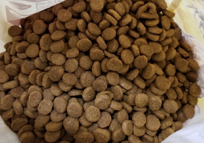 best dog food for huskies