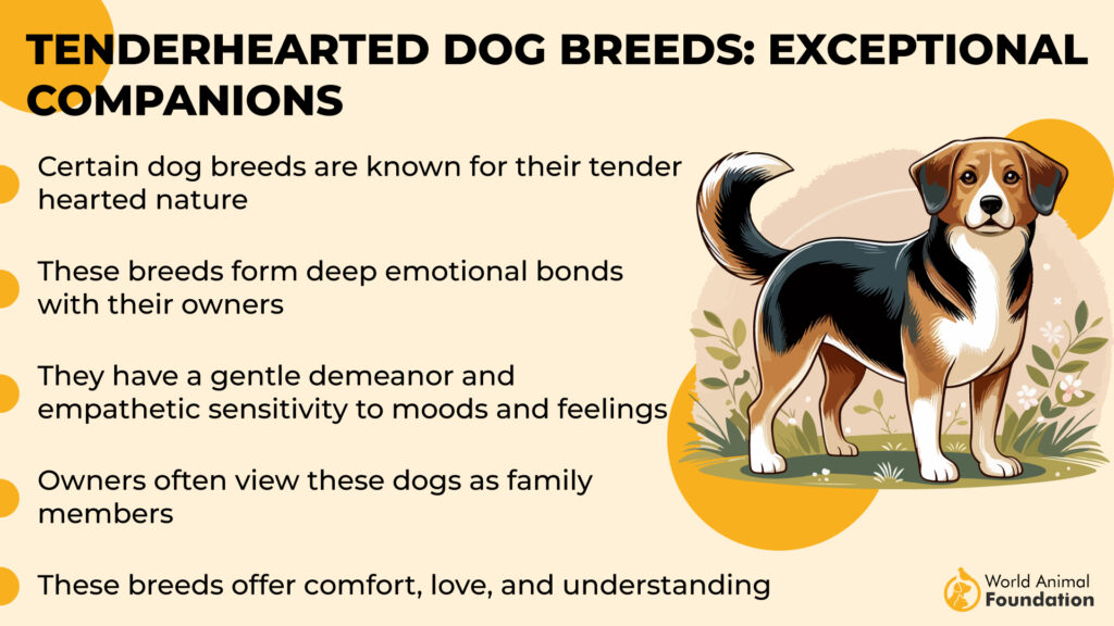 Tenderhearted Dog Breeds 