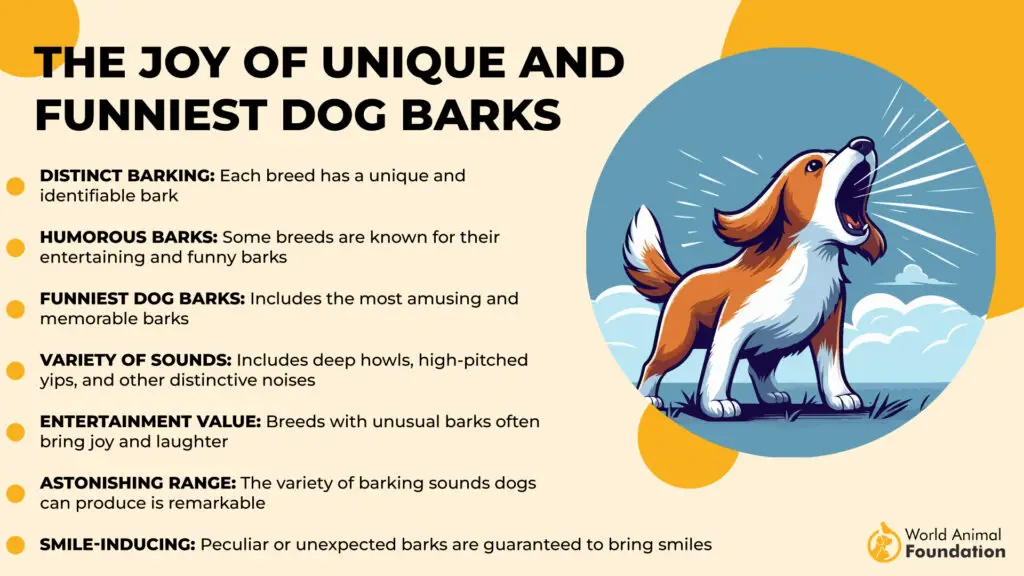 Funniest Dog Barks