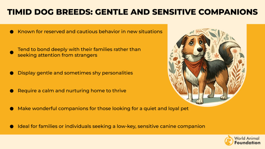 Timid Dog Breeds Gentle and Sensitive Companions