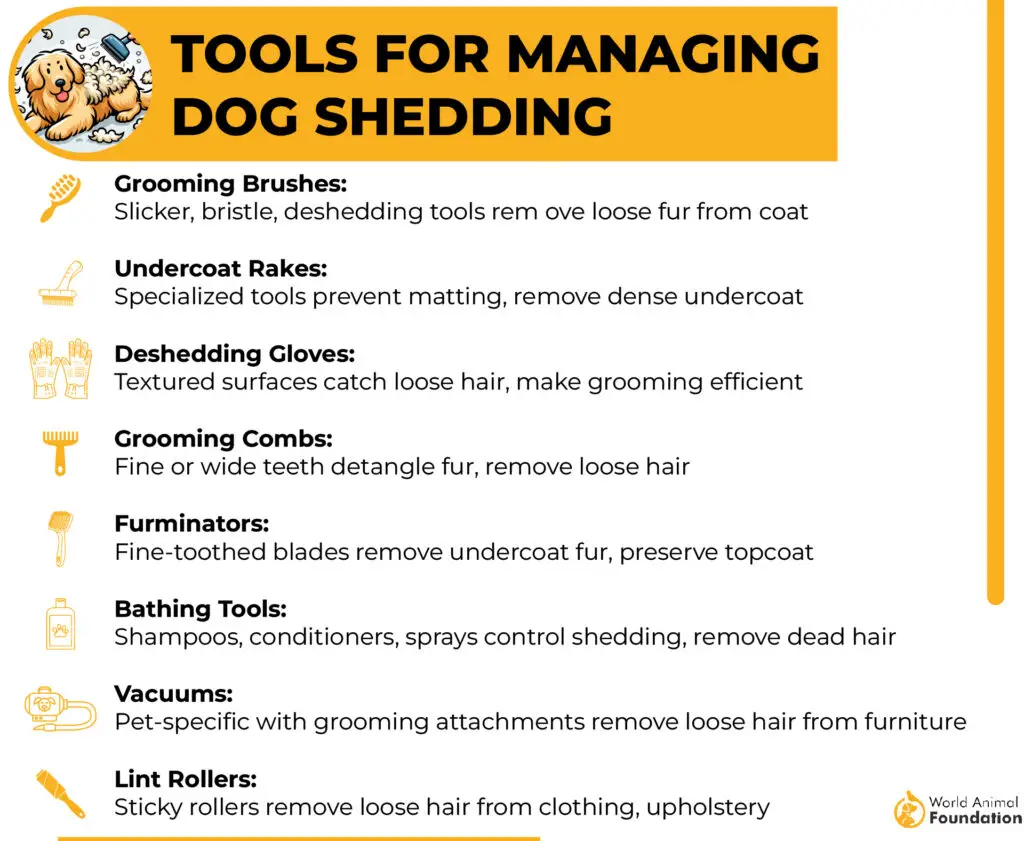 Tools for Managing Dog Shedding