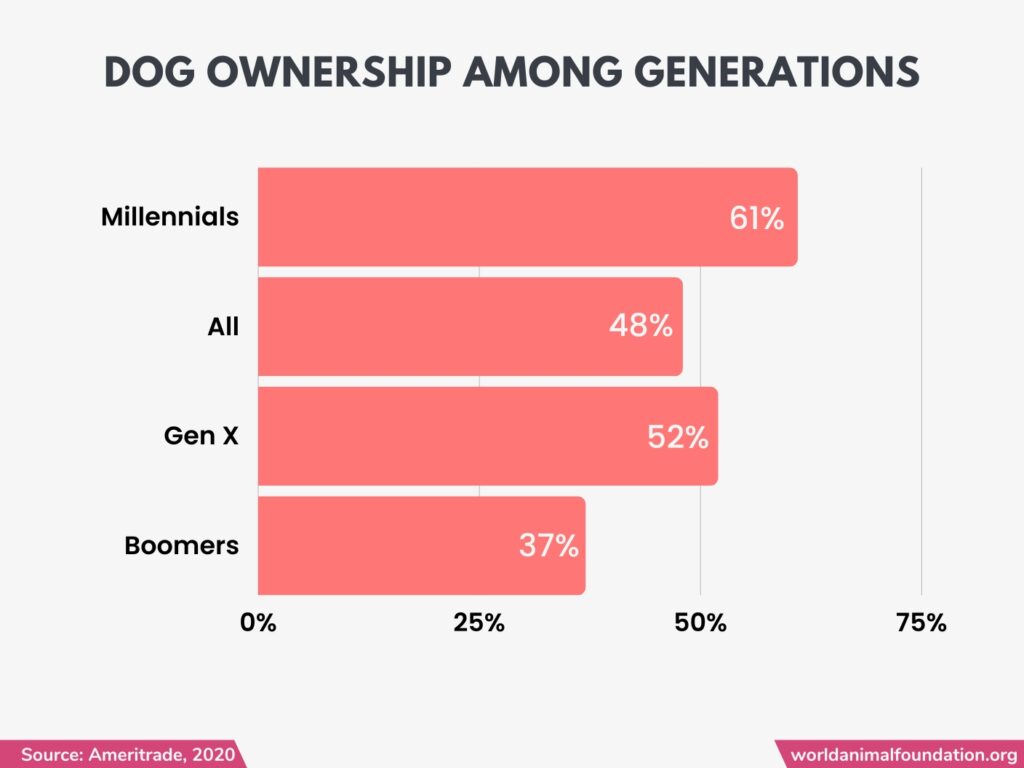 Dog ownership among generations
