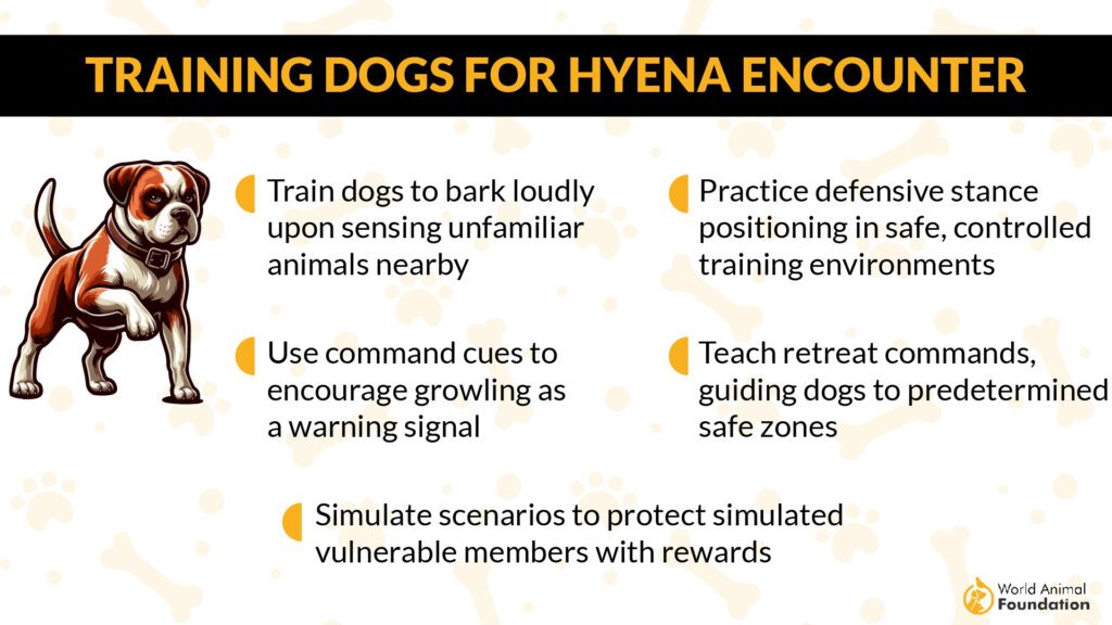 Training Dogs for Hyena Encounter