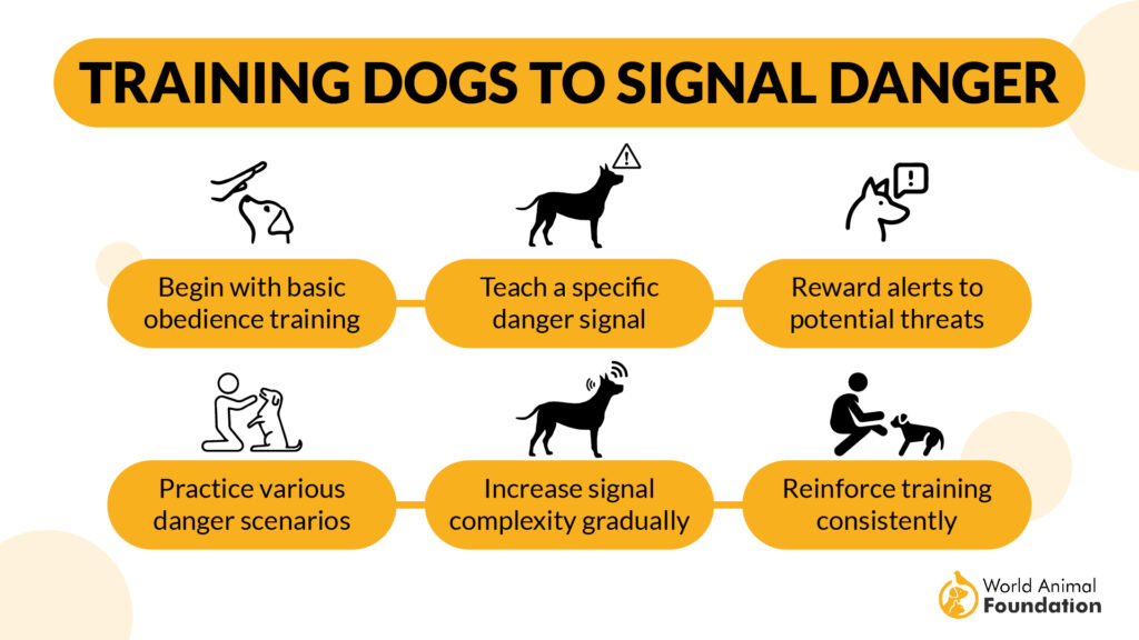 Training Dogs to Signal Danger