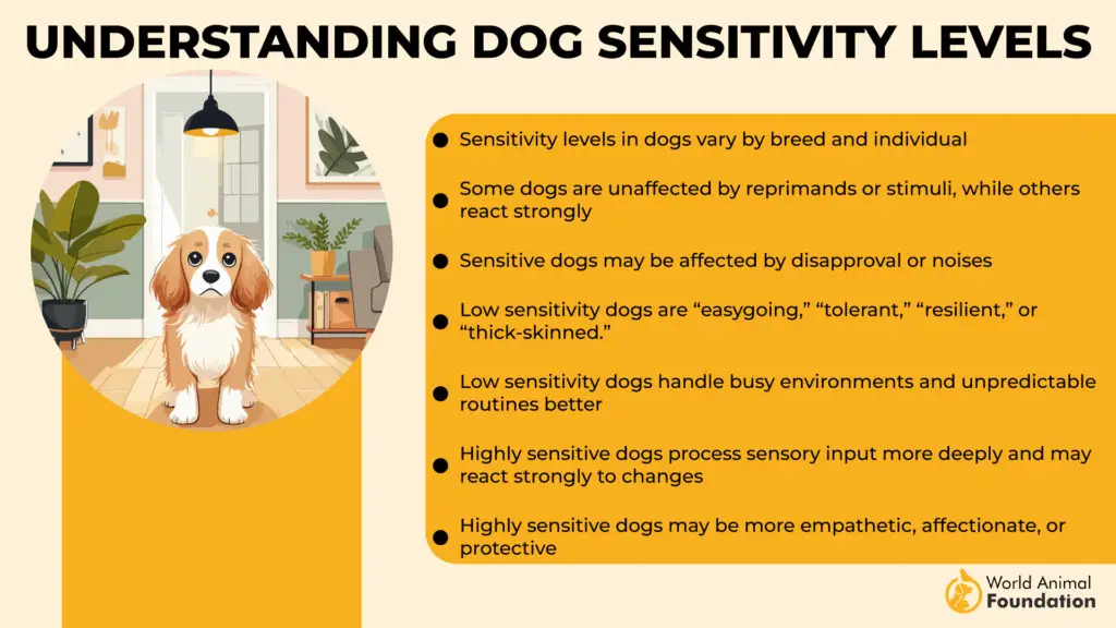 Dog Sensitivity Levels