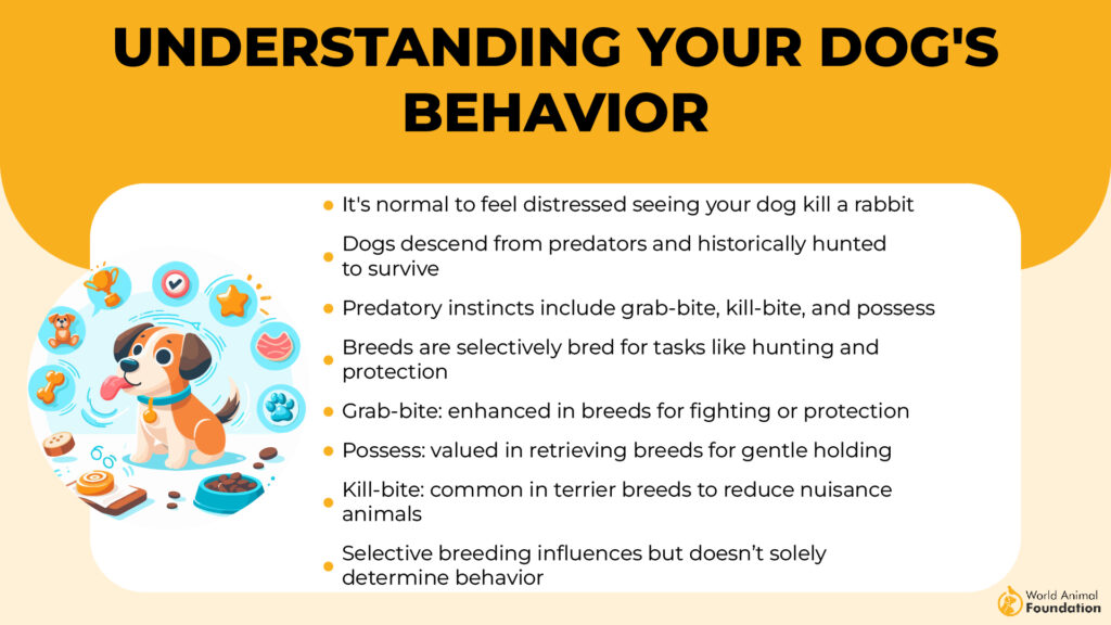 Understanding Your Dog's Behavior